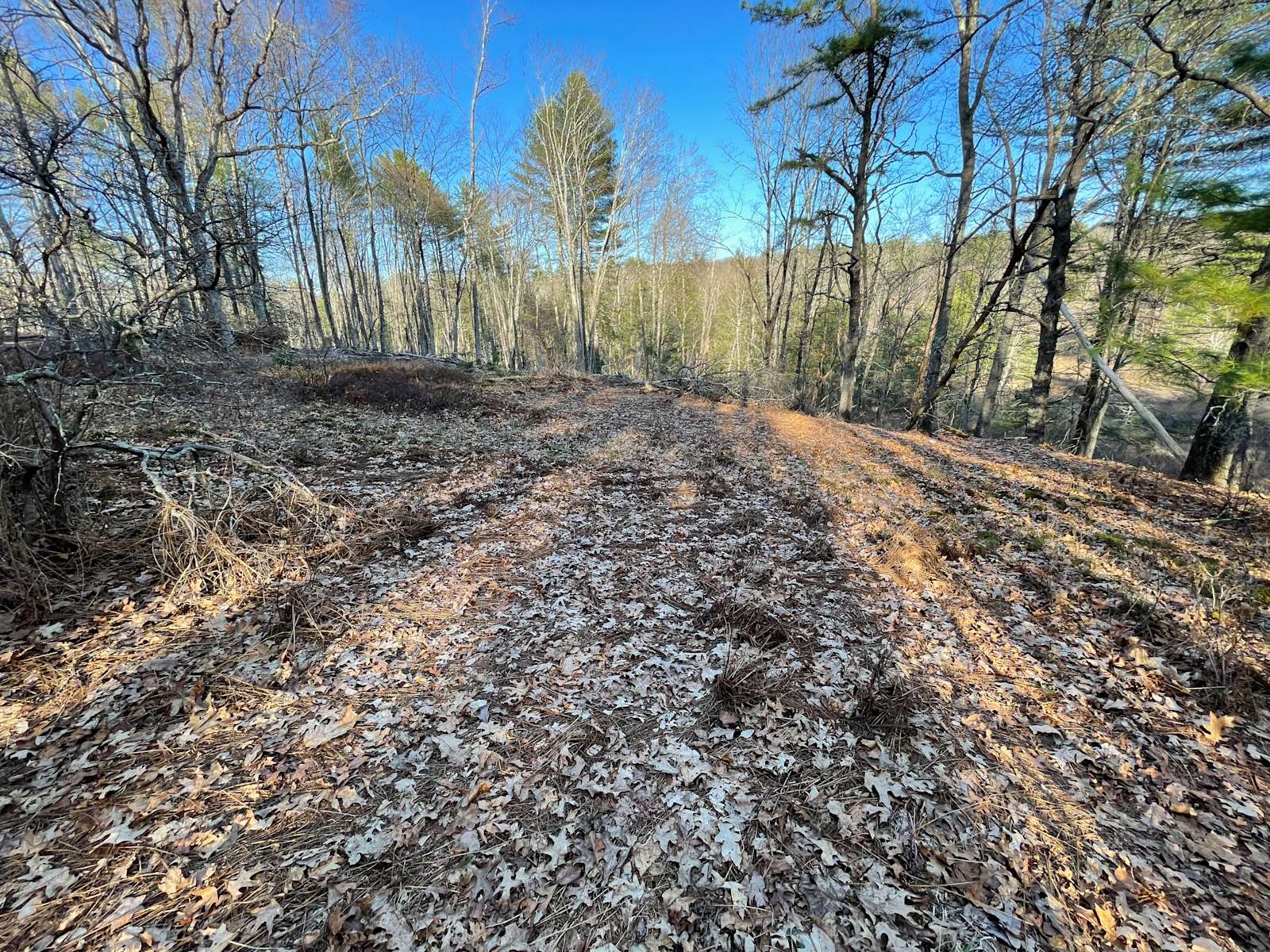 Jesse G.’s Land Hipcamp in Narrowsburg, New York