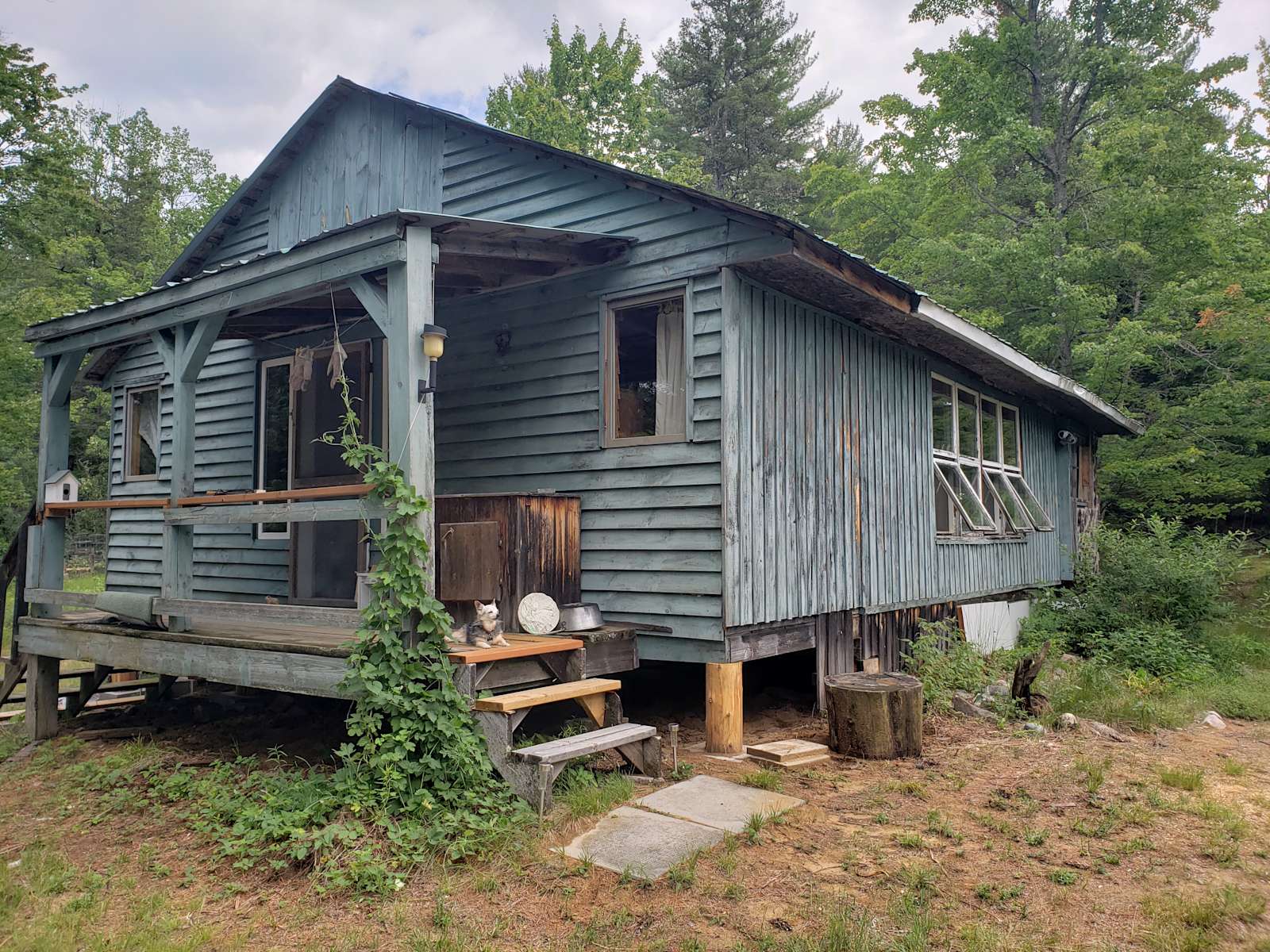 Cozy Off Grid Cabin In Forest Whip Poor Will Cottage Qc 12 Photos