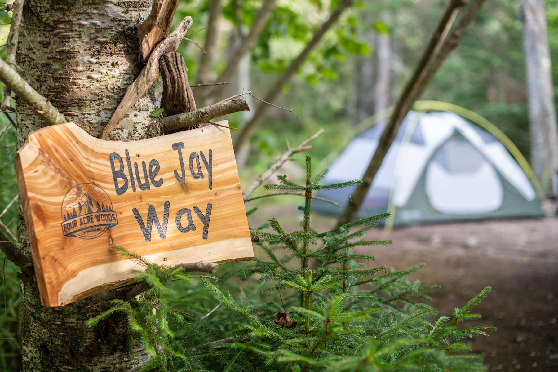 Four Acre Woods Campground Maine