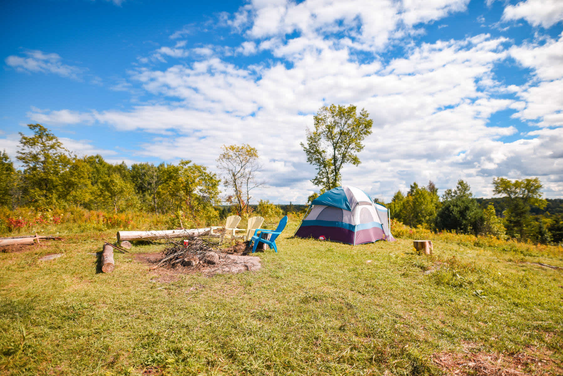 Wilderness Hilltop Tryfan Forest Tryfan Forest On 8 Hipcamper Reviews And 59 Photos