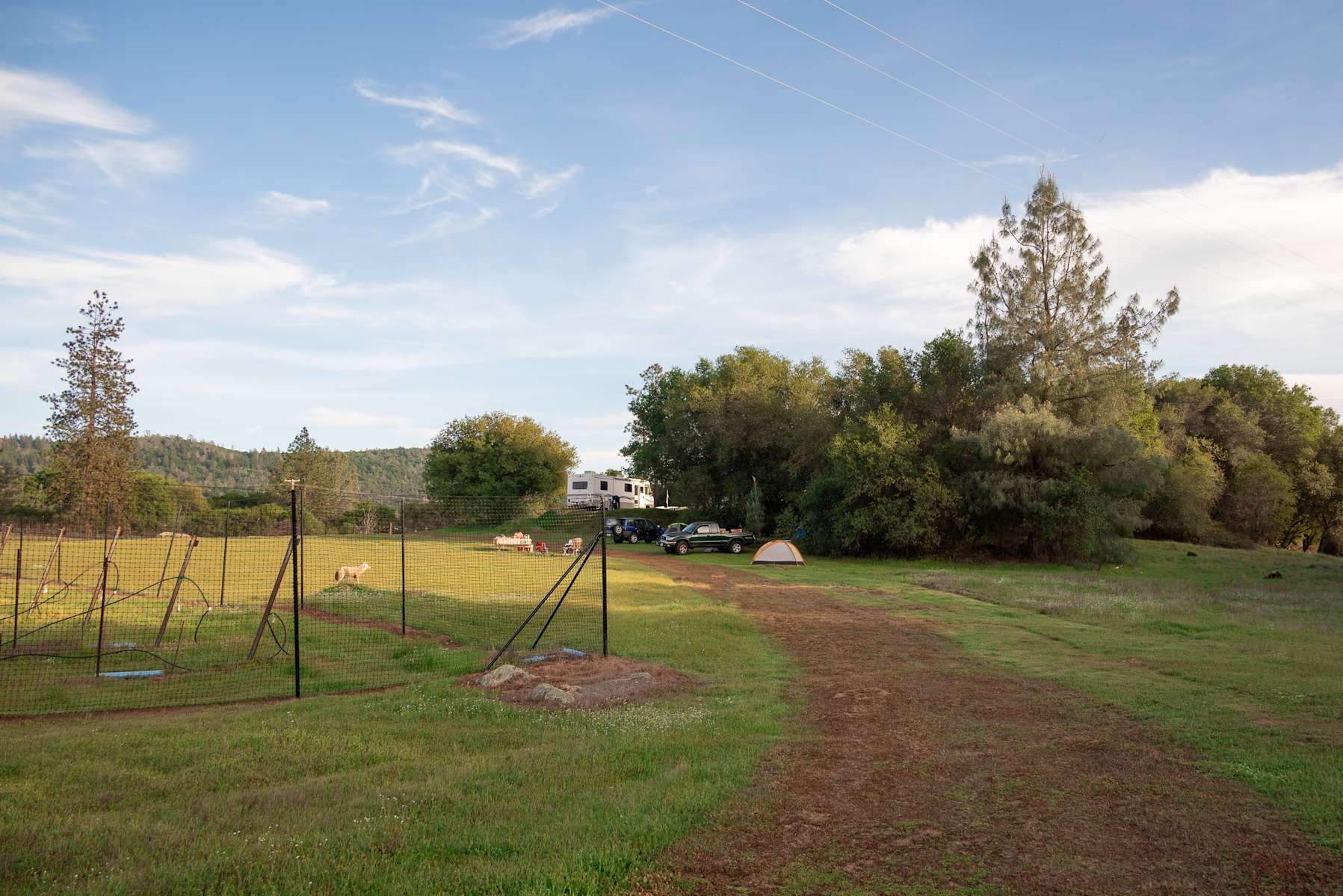 Peaceful Vineyard Camping Hipcamp in Bangor, California