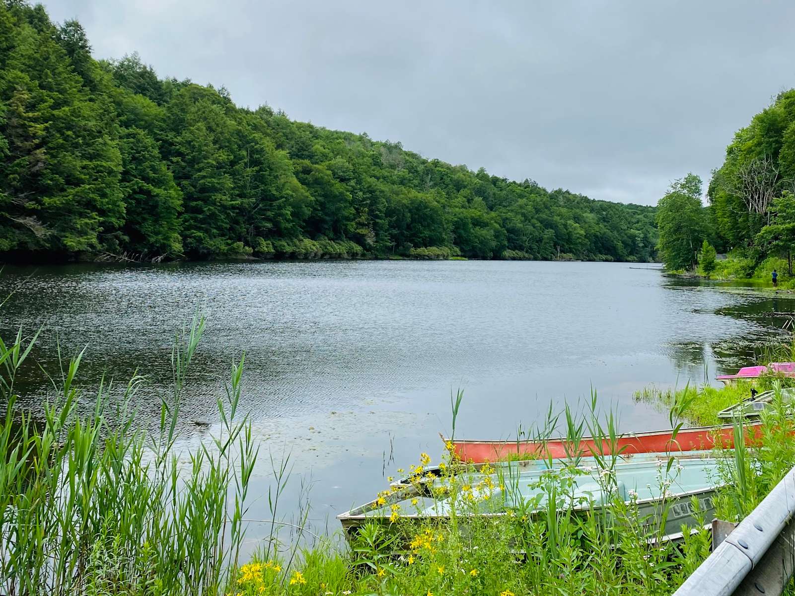 Cozy Lake Paradise Cabin Hipcamp in Woodbourne, New York