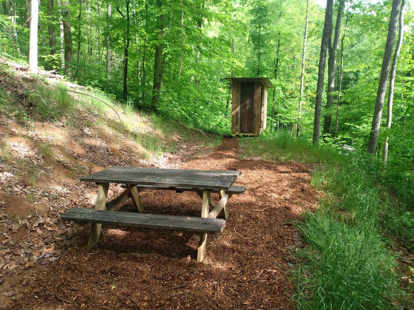 Hickory Hill - Photo 3