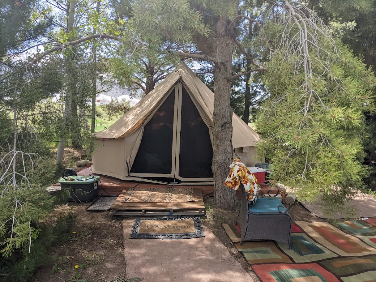 Wanderer homestead cheap tent