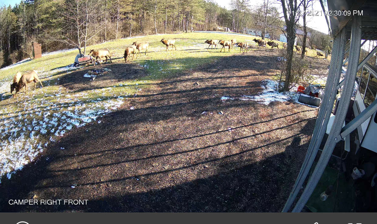 Benezette Hipcamp in Benezette, Pennsylvania