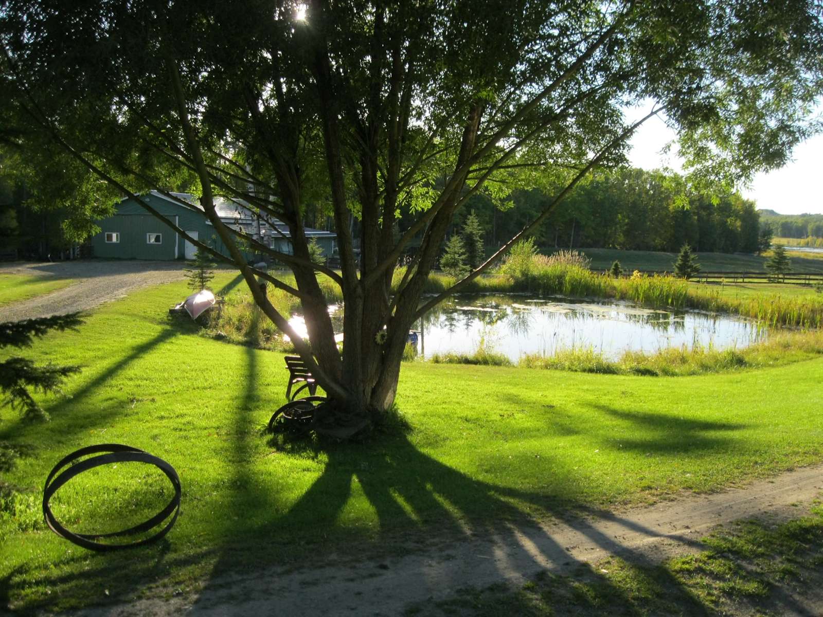 Hidden Springs Retreat & Guesthouse Hipcamp in Wetaskiwin County 10