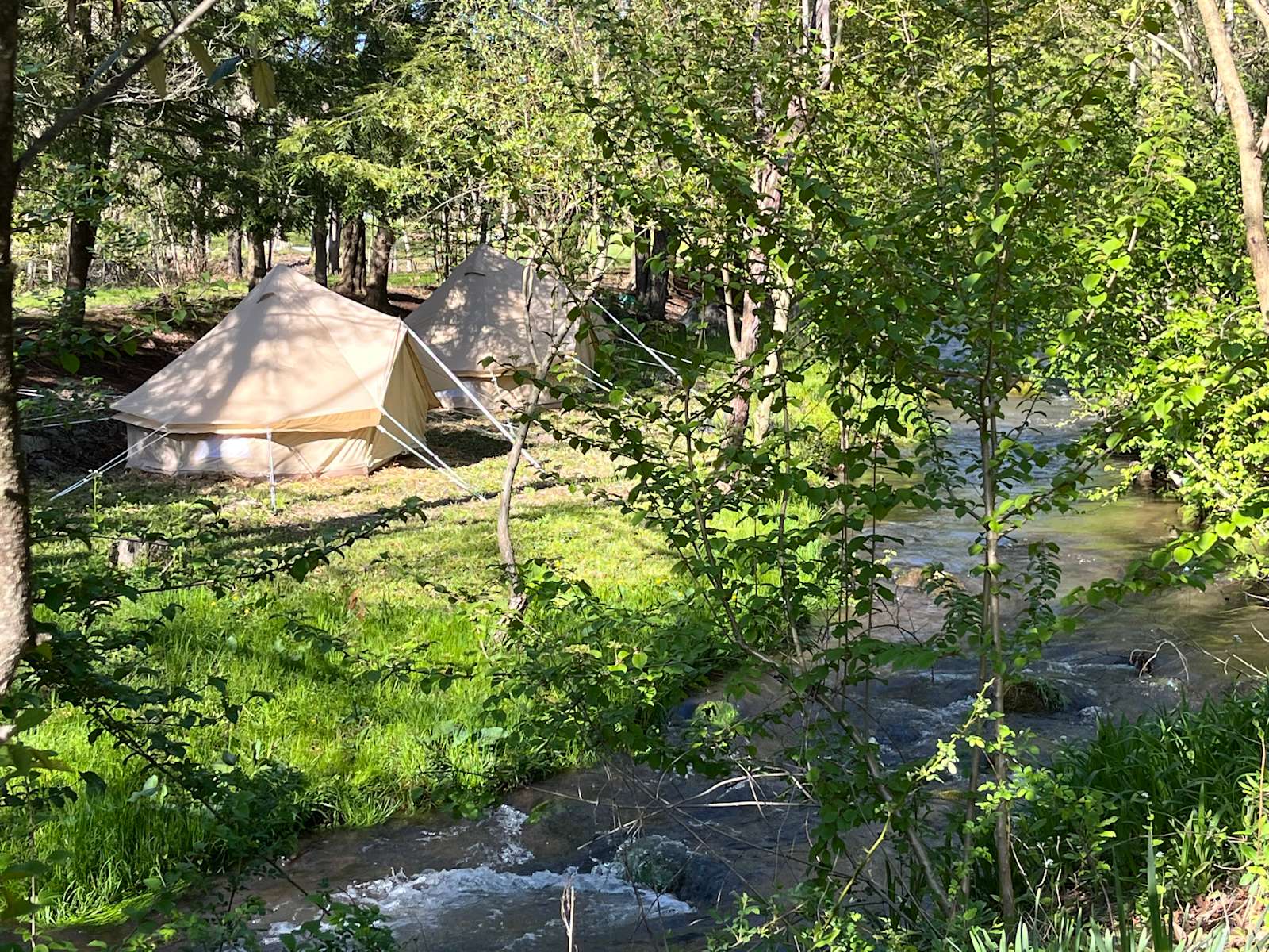 Stonehedge Gardens Pocono Retreat Hipcamp in Tamaqua, Pennsylvania