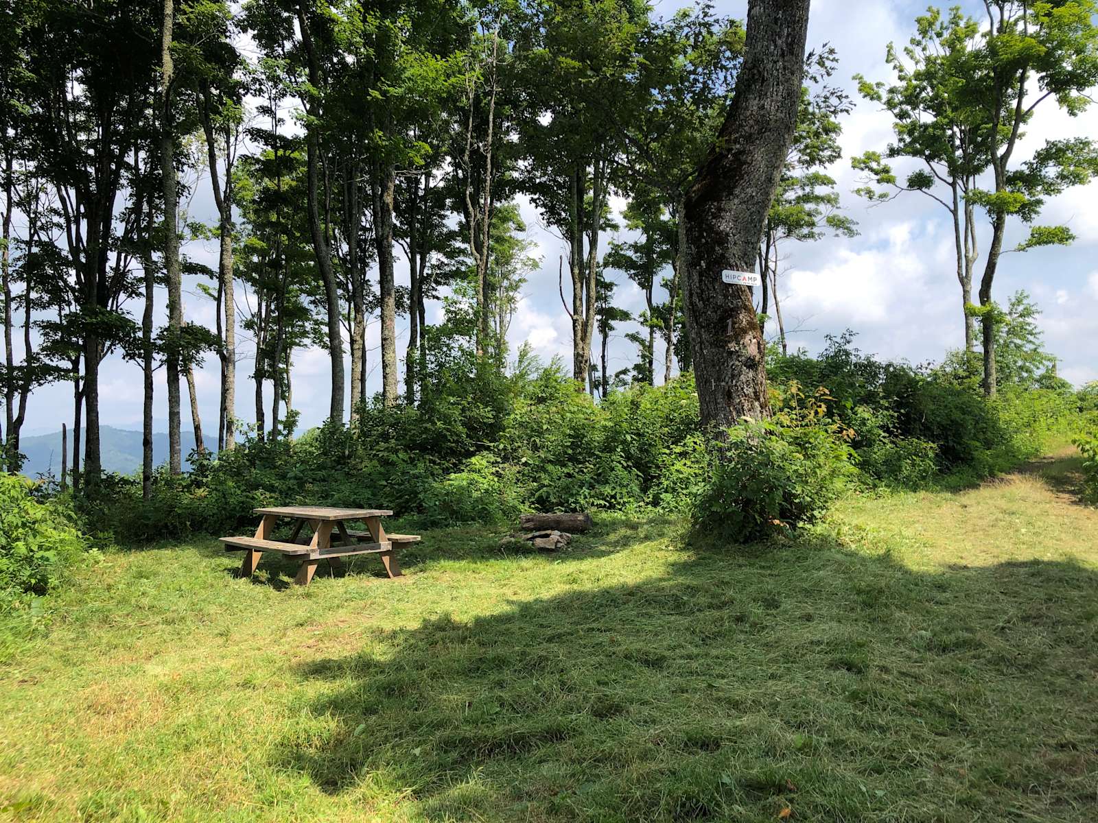 Haw Ridge Hipcamp in Mars Hill, North Carolina