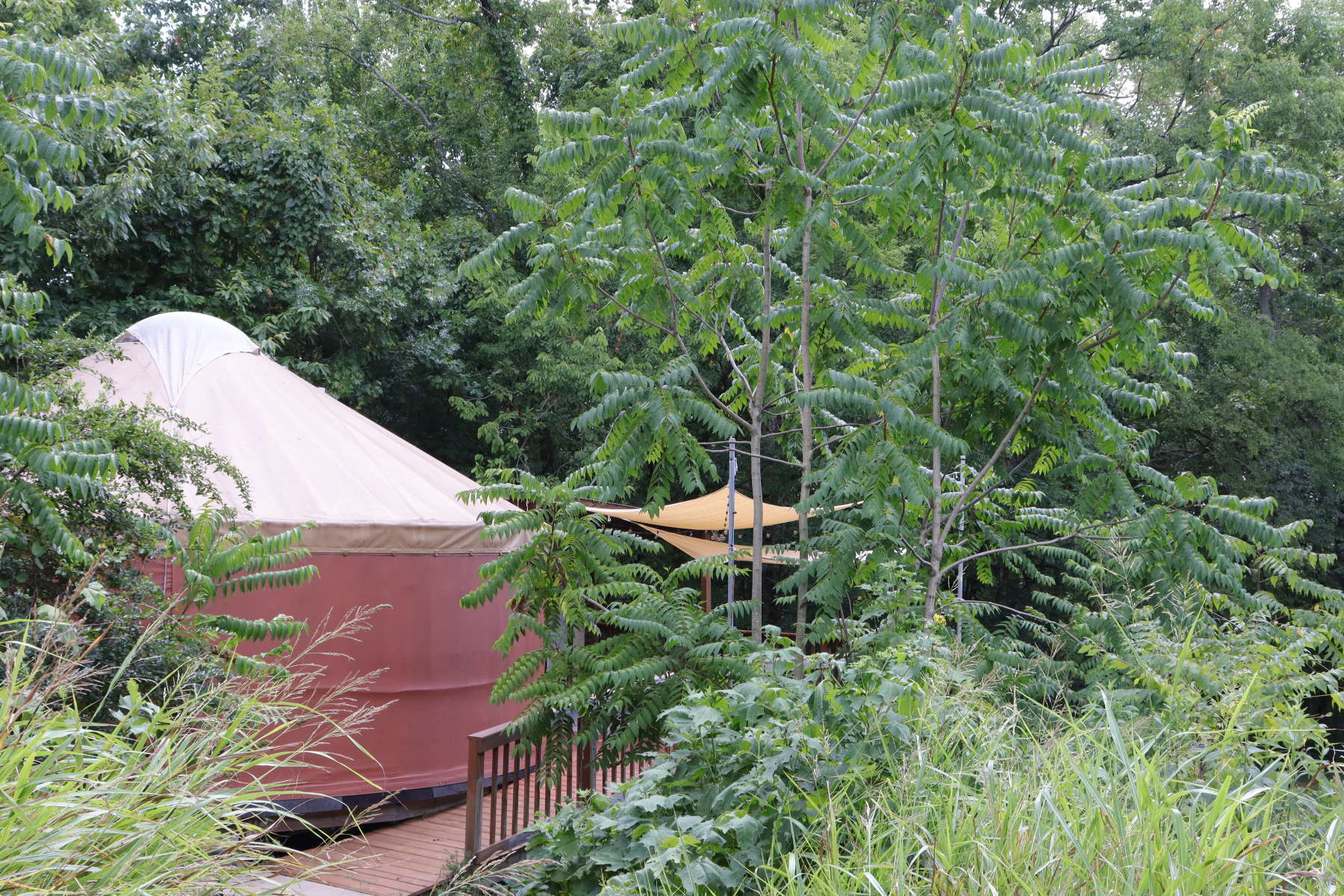 Tranquil Riverside Yurt Hipcamp In Nashville Tennessee 3080