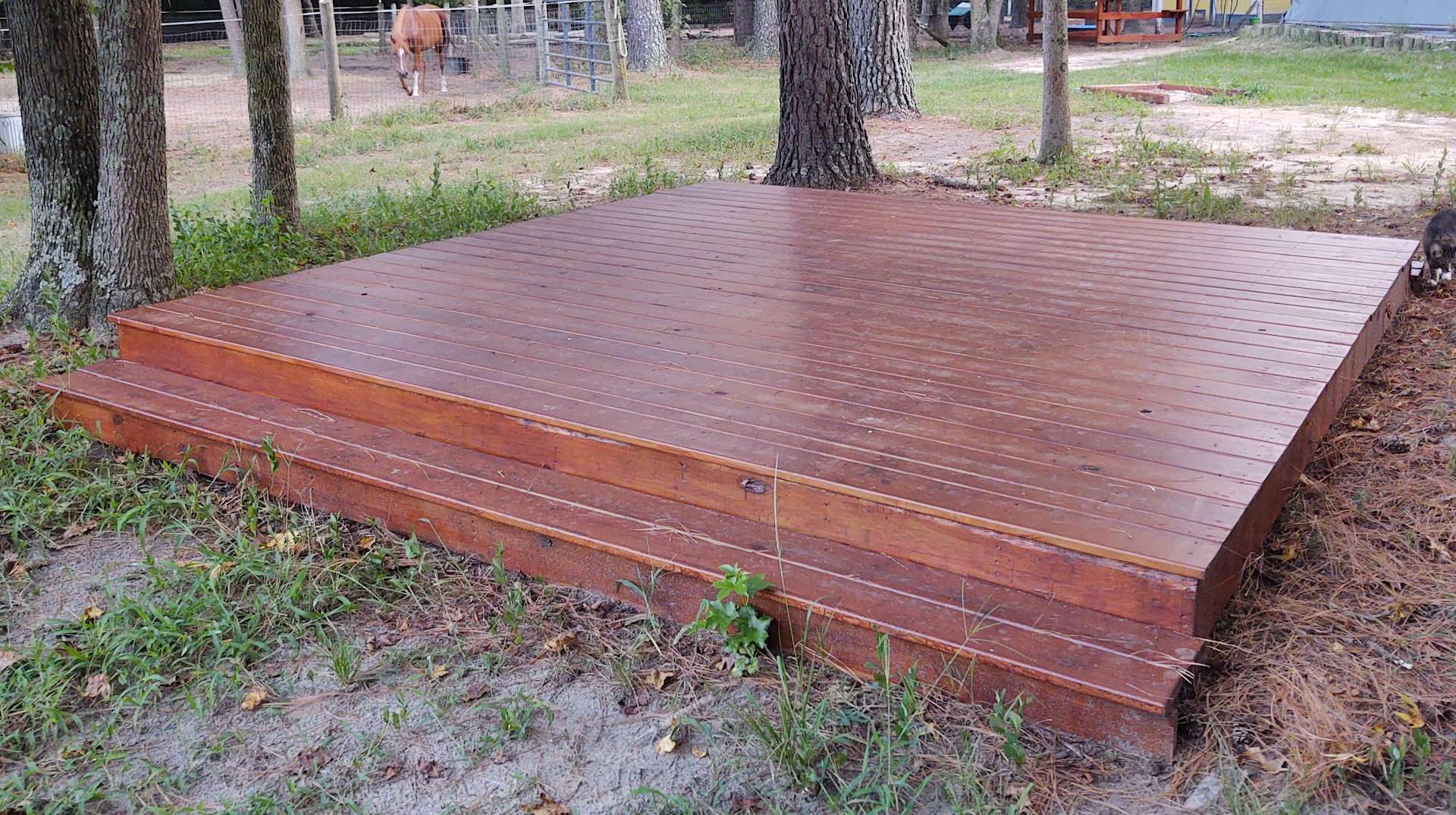 Legacy Farms Leisure Area Hipcamp in Lumber Bridge, North Carolina