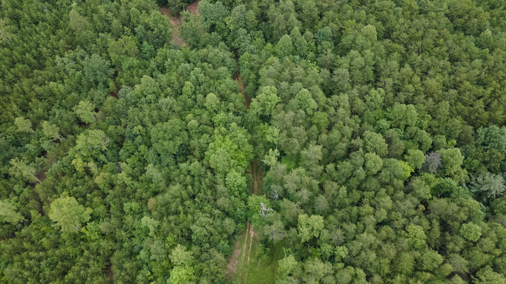 Prosperity Homestead Hipcamp in , Virginia
