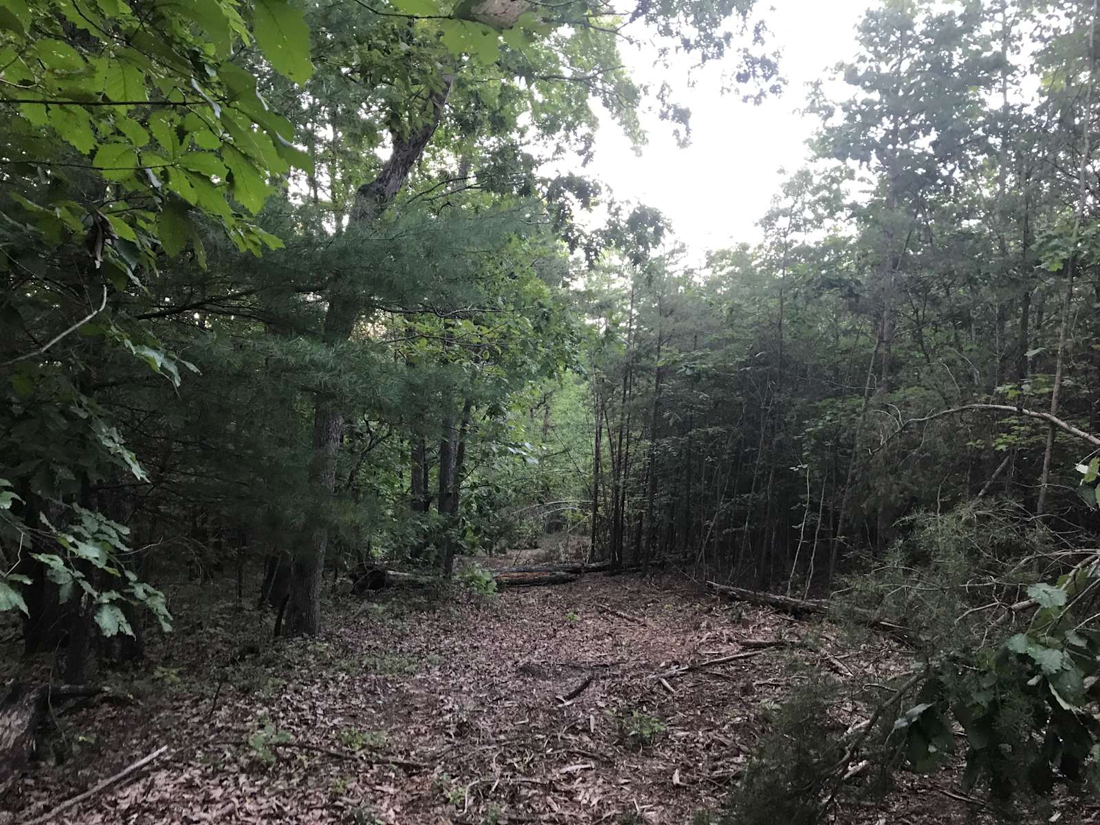 Prosperity Homestead Hipcamp in Martinsville, Virginia