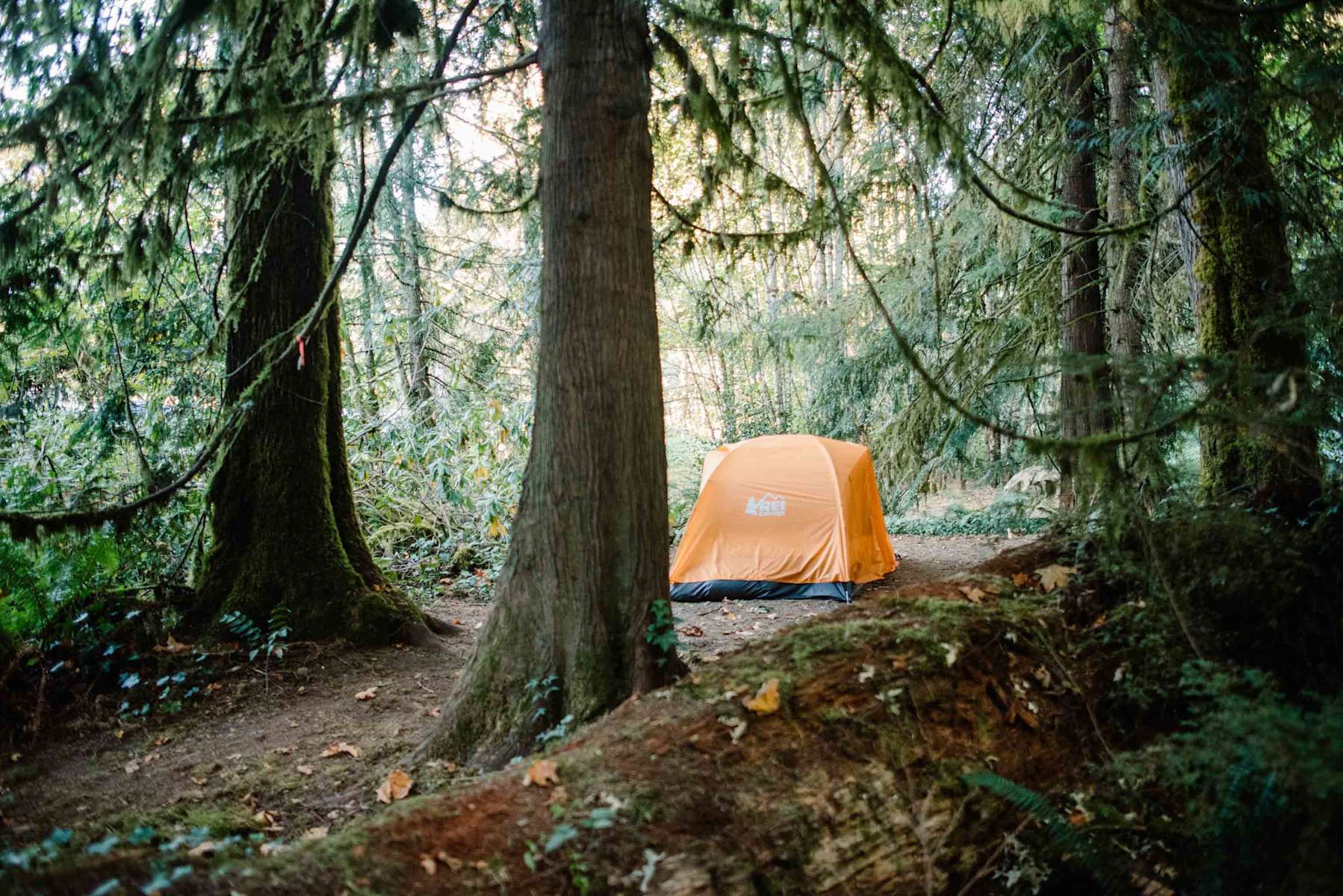 Camping At Zigzag Mountain Farm, Zigzag Mountain Farm, OR: 227 Camping At Zigzag Mountain Farm, Zigzag Mountain Farm, OR: 227