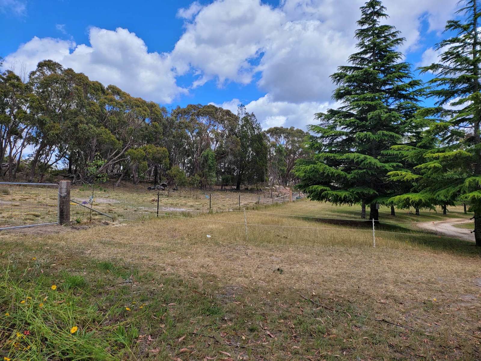 Gungarra Gardens Scott's Corner Hipcamp in Mount Tully, Queensland