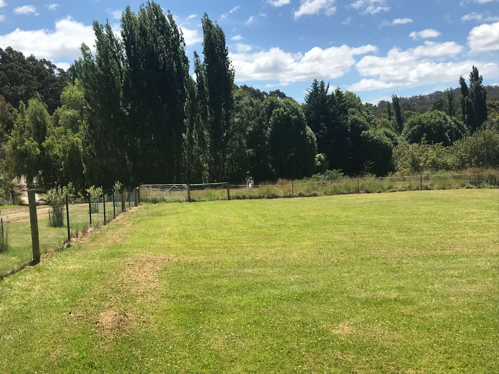 Saddle Summer Camping Hipcamp in Kettering, Tasmania