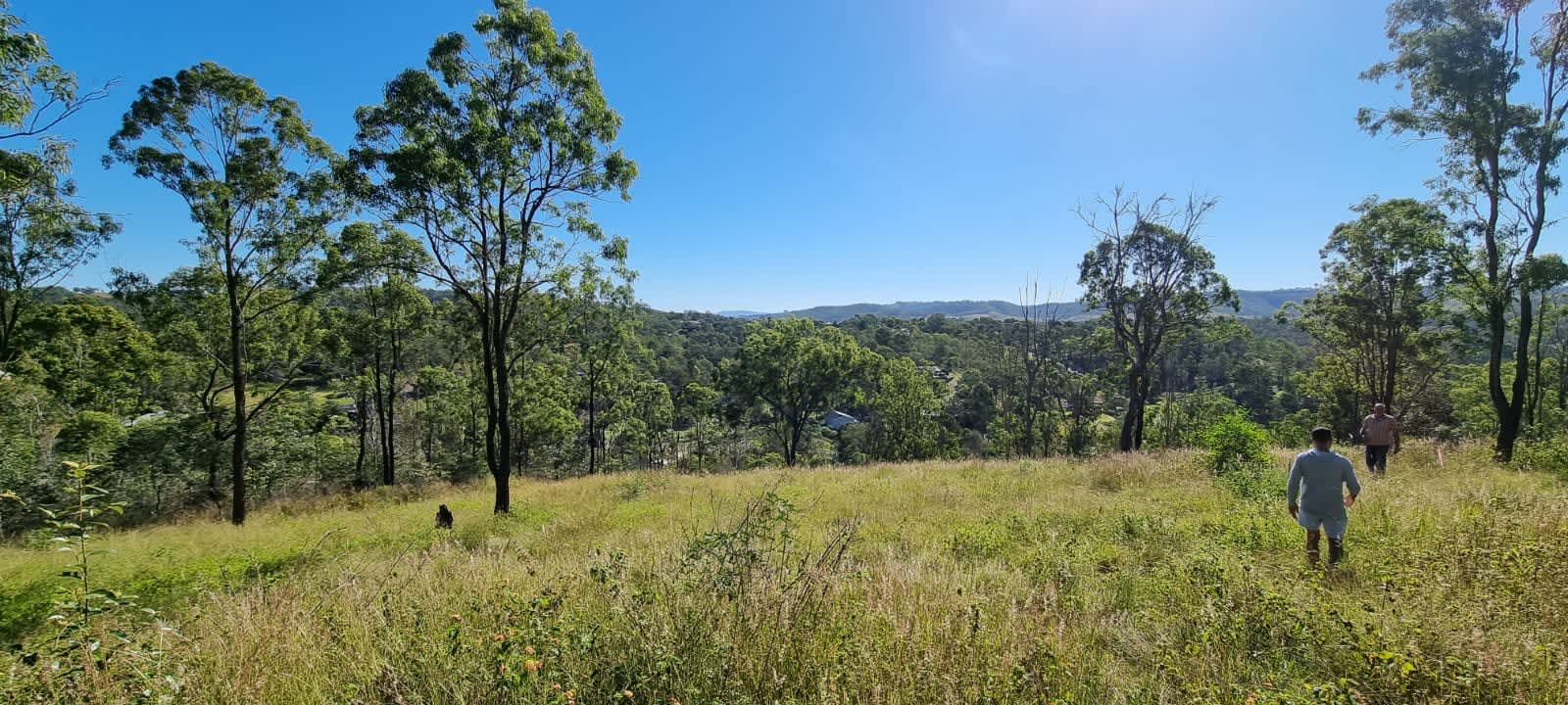 Hilltop Marjeyoun Retreat Hipcamp in Kooralbyn, Queensland