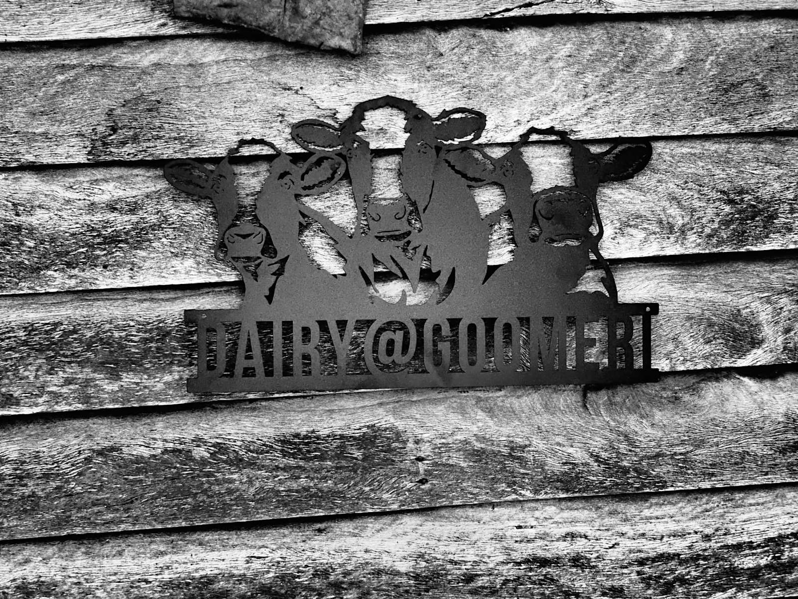 DairyGoomeri Hipcamp in Goomeri, Queensland