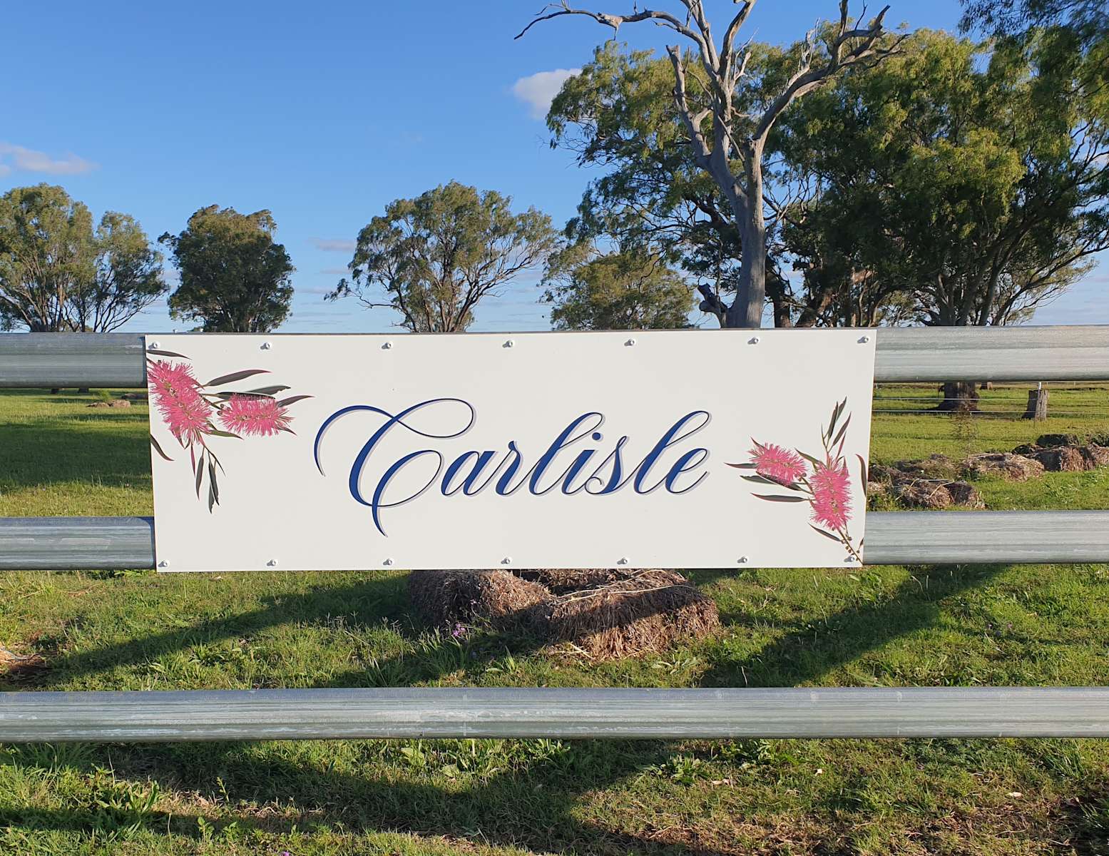 Carlisle Farm - Photo 3