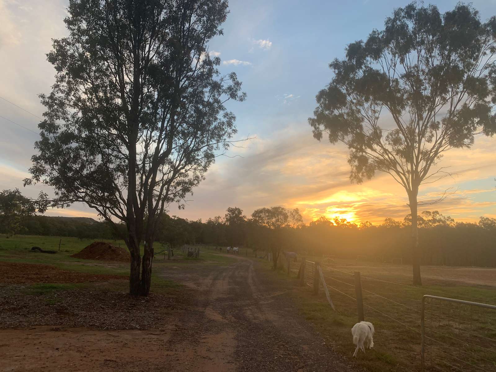 Kardinia Park Hipcamp in Winwill, Queensland