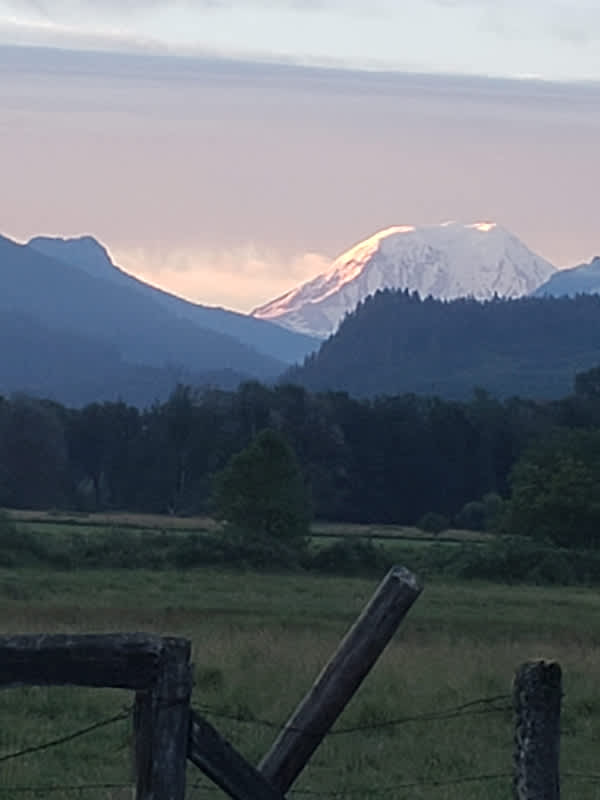 Cowlitz River Rentals Hipcamp in , Washington