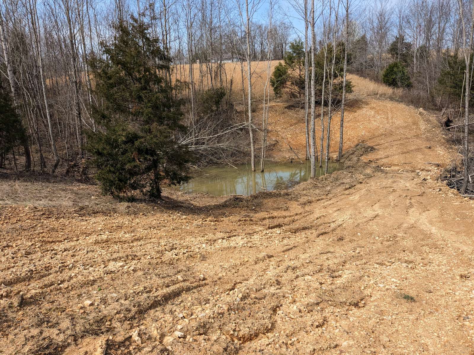 Angel Acres Campground Hipcamp in Hohenwald, Tennessee