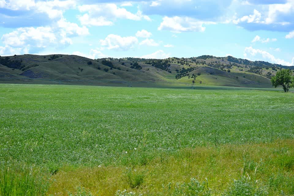 Home Ranch LLC Hipcamp in Wasta, South Dakota