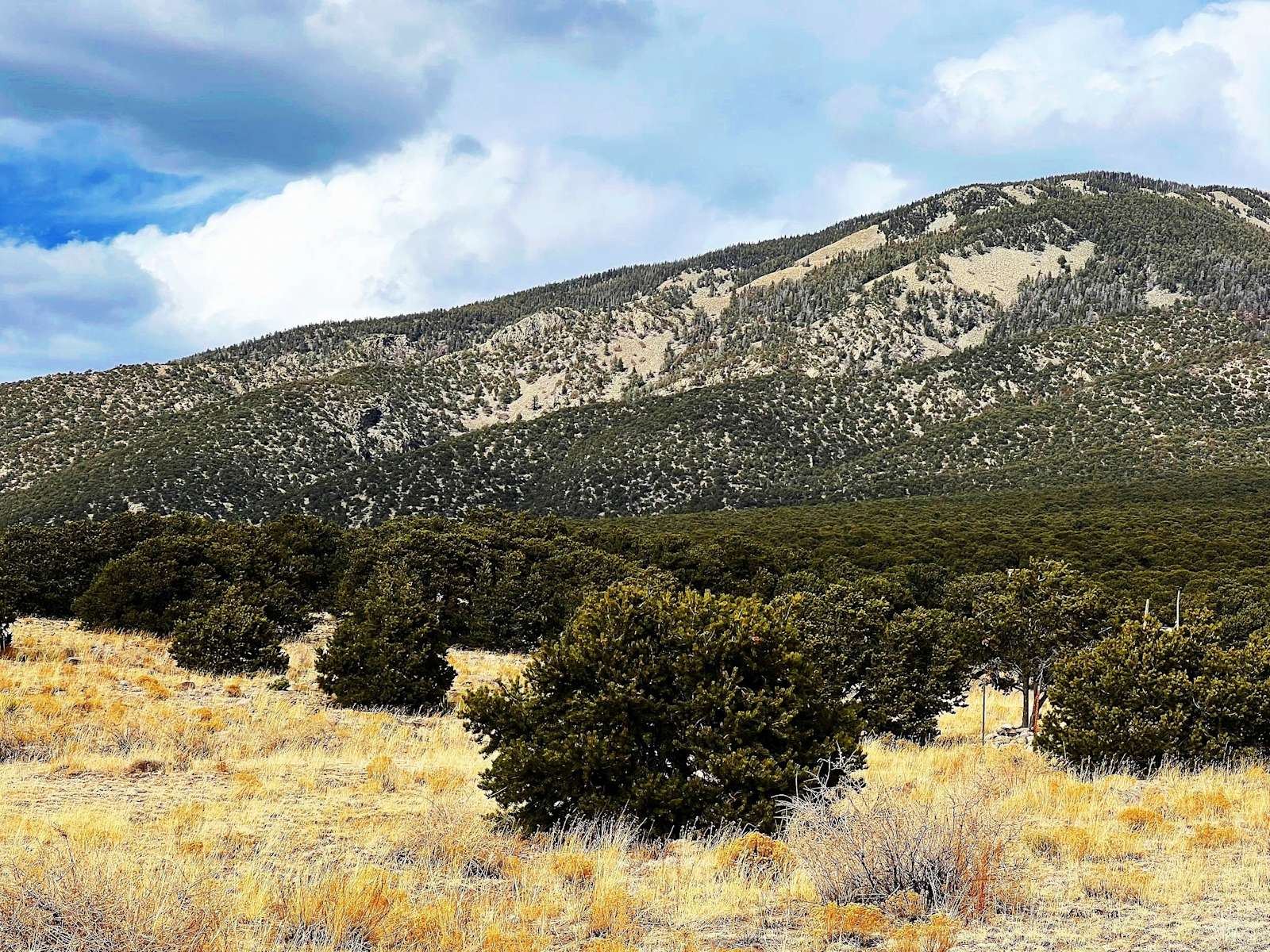 A Yakshi Is Free Sanctuary Hipcamp in Blanca, Colorado