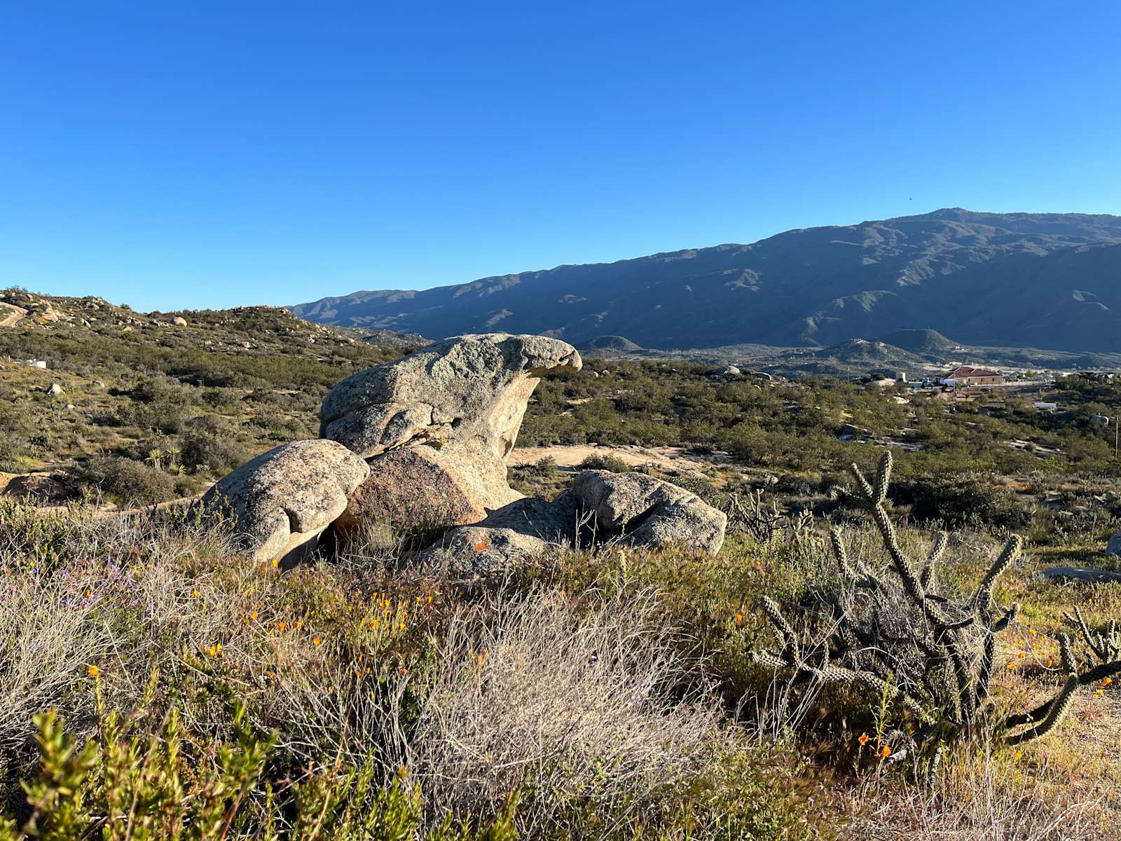 Campo Buena Vista - Hipcamp in Aguanga, California