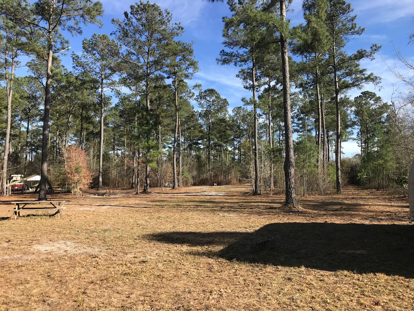 Charlotte's Whispering Pine Farm Hipcamp in Atkinson, North Carolina