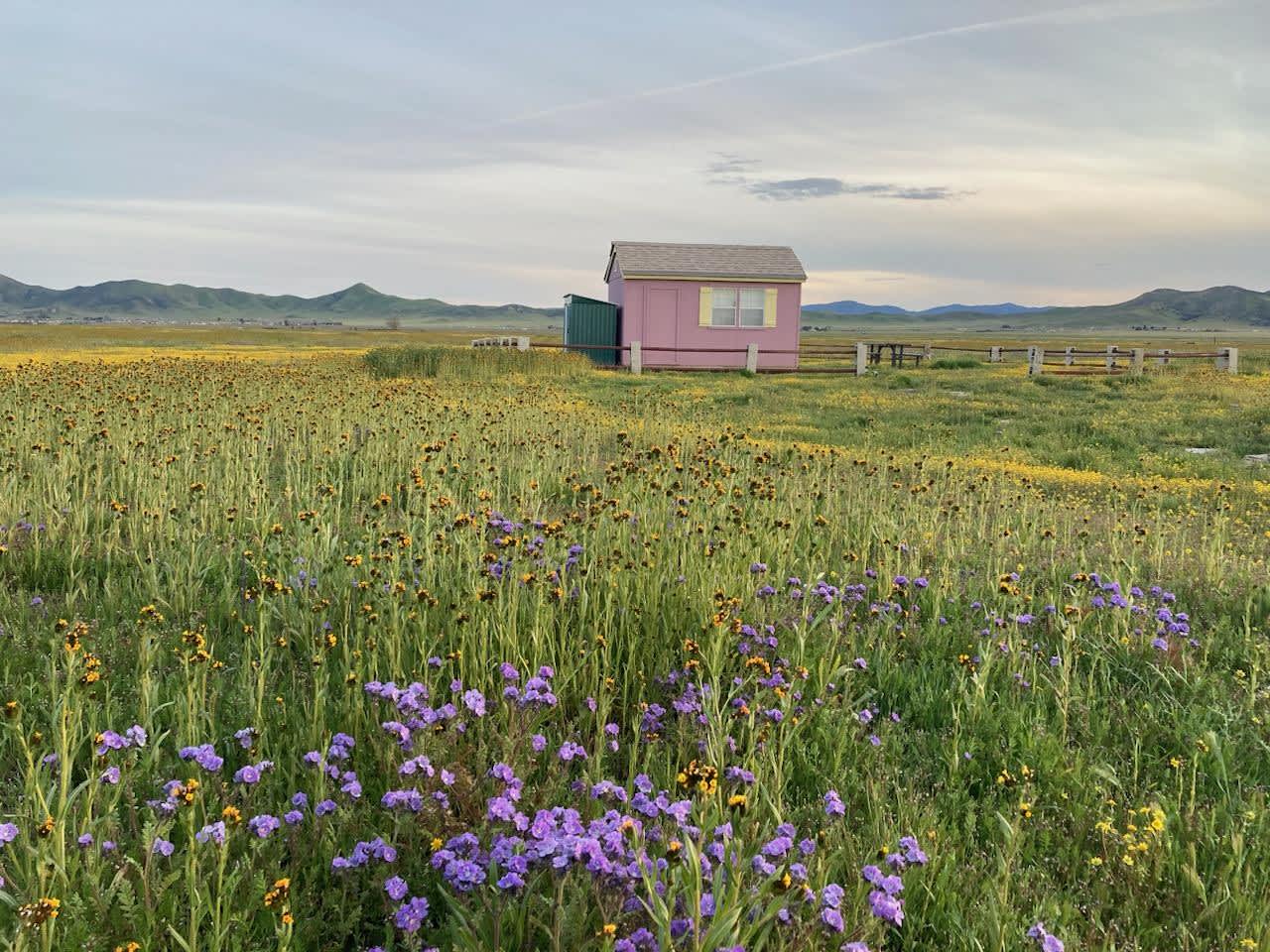 Little Brave House, Soda Lake CA Hipcamp in Santa Margarita, California