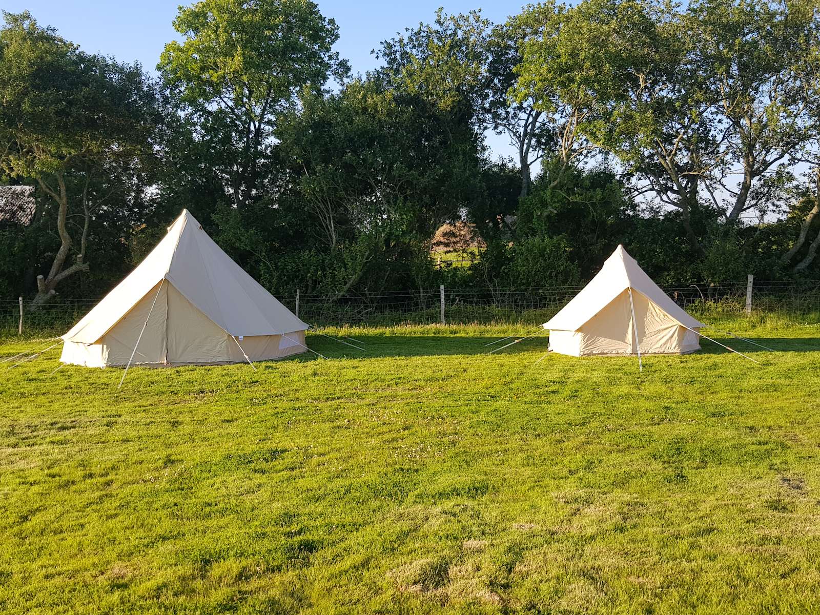 Hastings 1066 Camping and Glamping Hipcamp in Battle, England