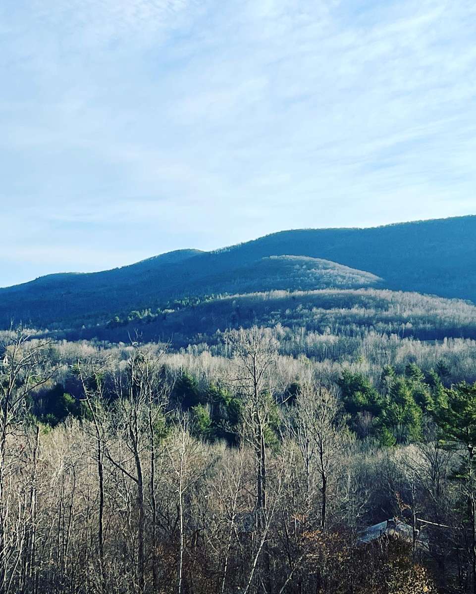 Piebald Mountain Hipcamp in Petersburgh, New York
