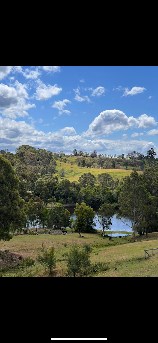 Traditional Legacies - Photo 2