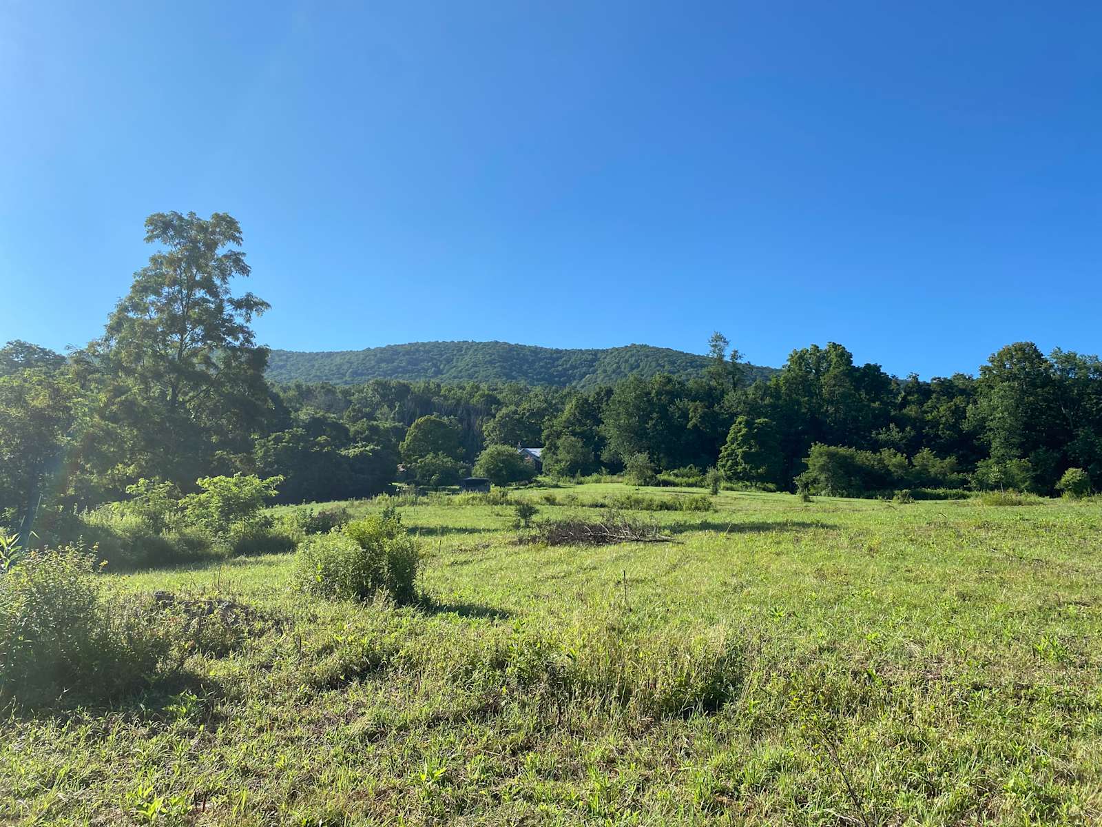 Peters Mountain Farm Hipcamp in Lindside, West Virginia