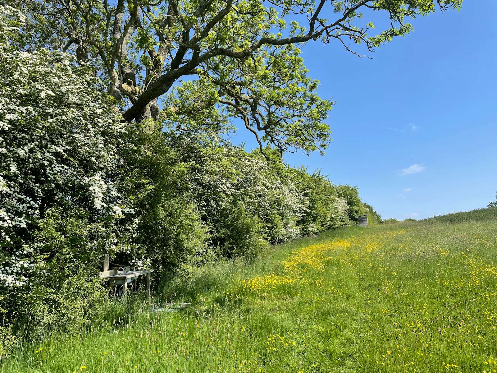 Pitchcott Farm Hipcamp in Aylesbury, England