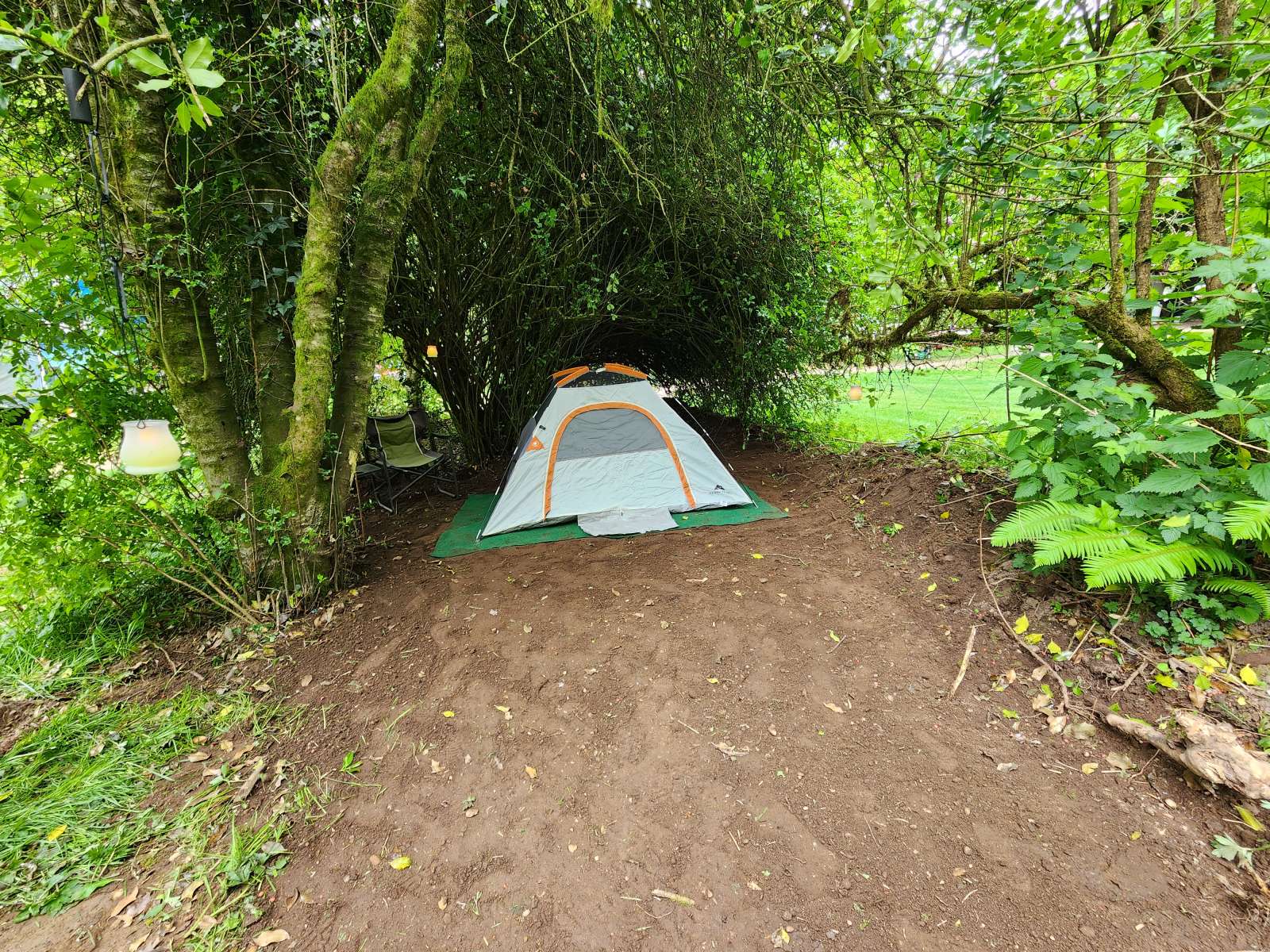 Muddy Hill Farm Hipcamp in Southworth, Washington