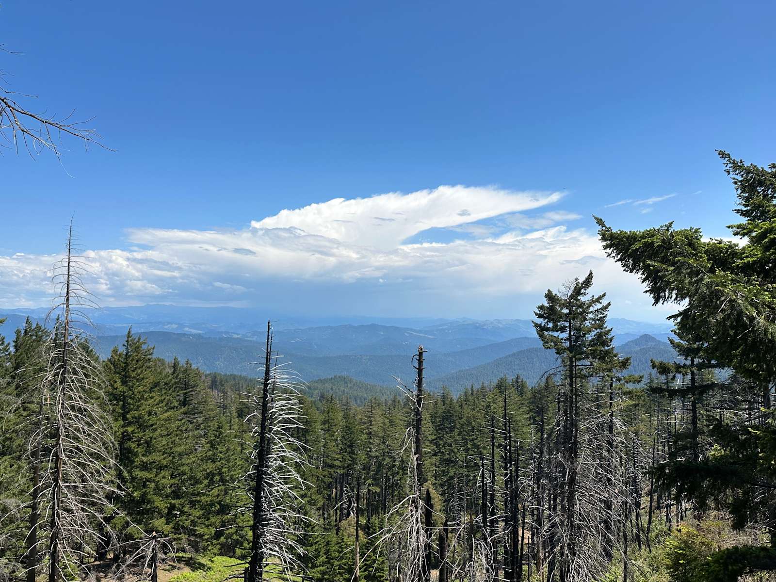 Humboldt Hills Experience Hipcamp in Redway, California