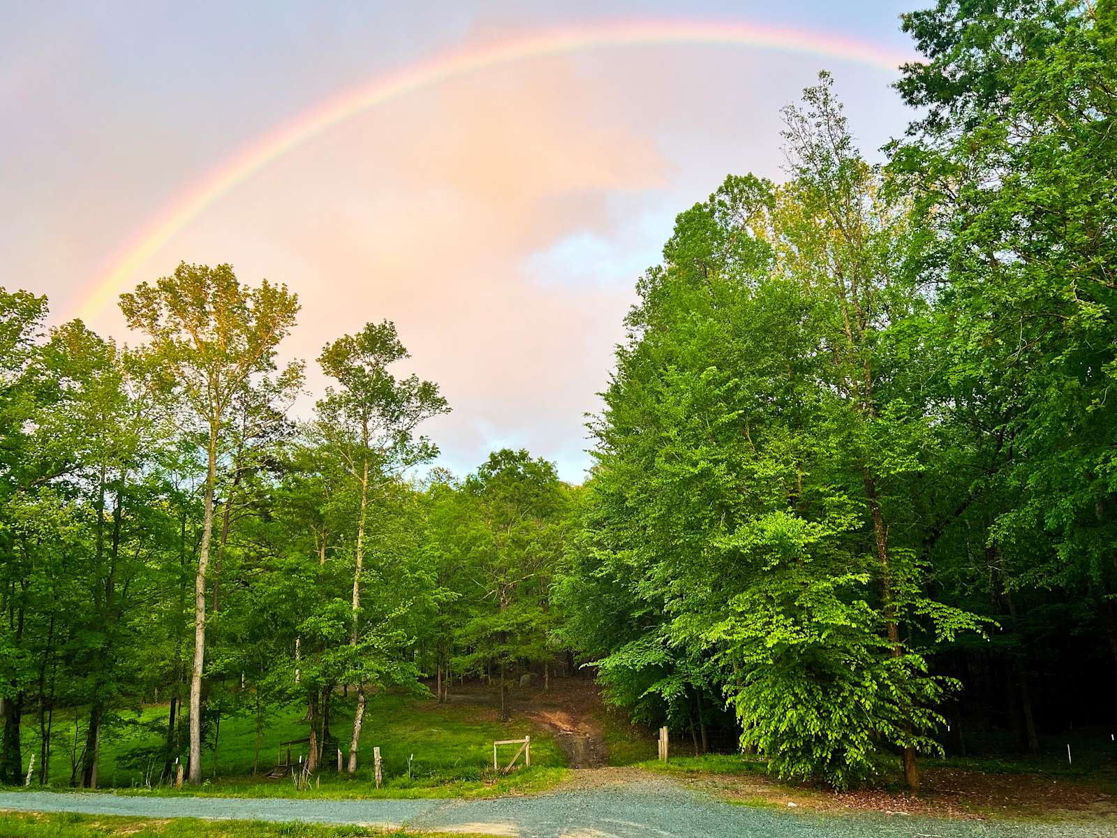 Creekside Woodland Wild Acres Hipcamp in Waxhaw, North Carolina