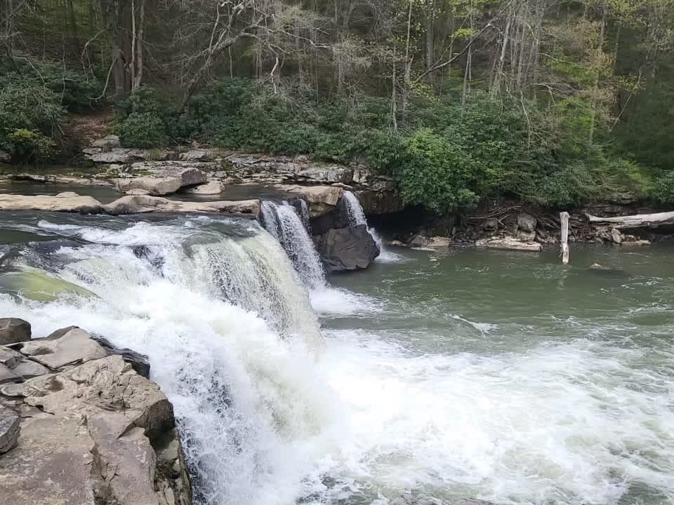 Rustic Paradise Hipcamp in Bruceton Mills, West Virginia