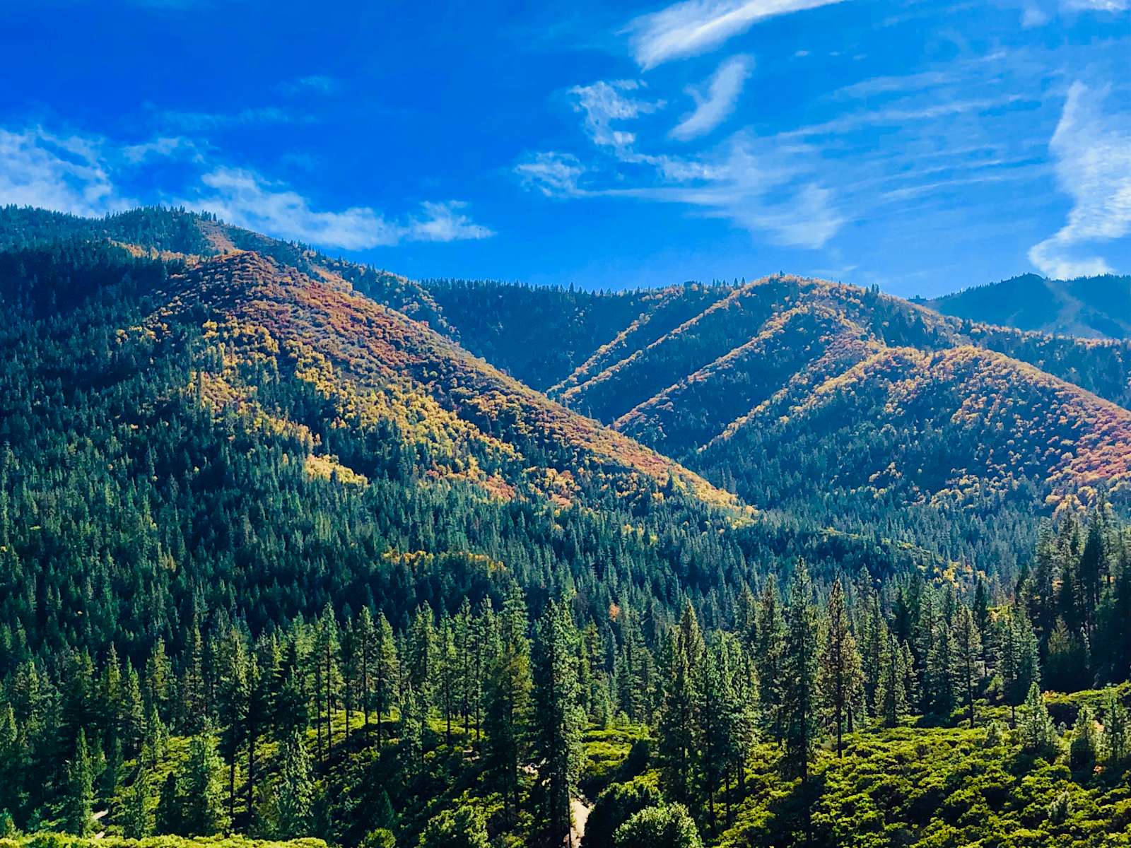 Humbug Creek Reserve Hipcamp in Yreka, California