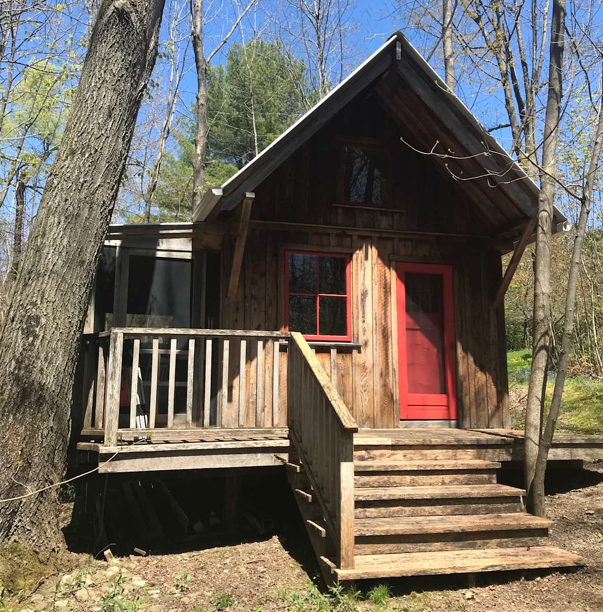 Haven in the trees Hipcamp in Burdett, New York