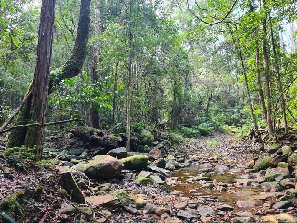 Gatherer's Ground Hipcamp in Hannam Vale, New South Wales