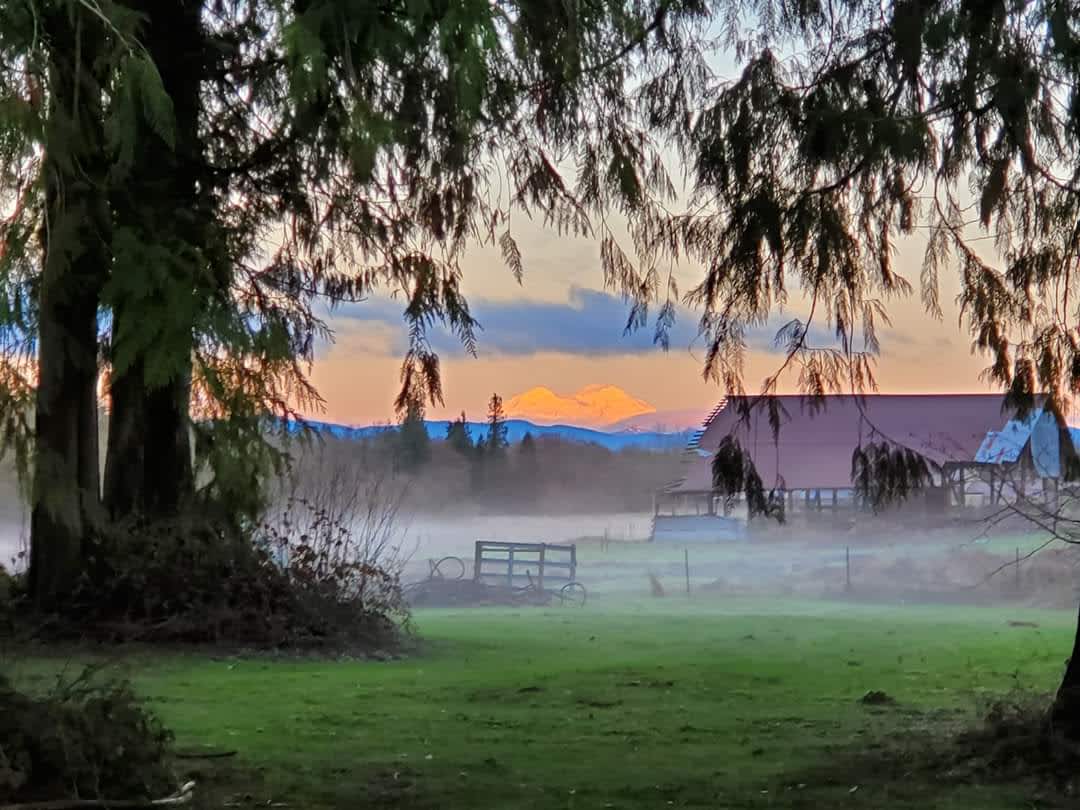 Heritage Cedar Farm Hipcamp in Onalaska, Washington