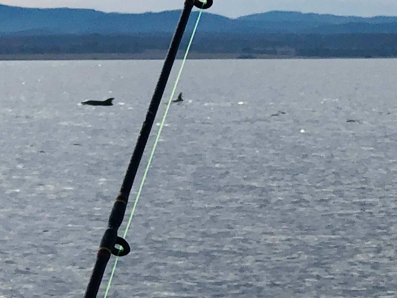 Lakeview retreat Hipcamp in Newlands Arm, Victoria