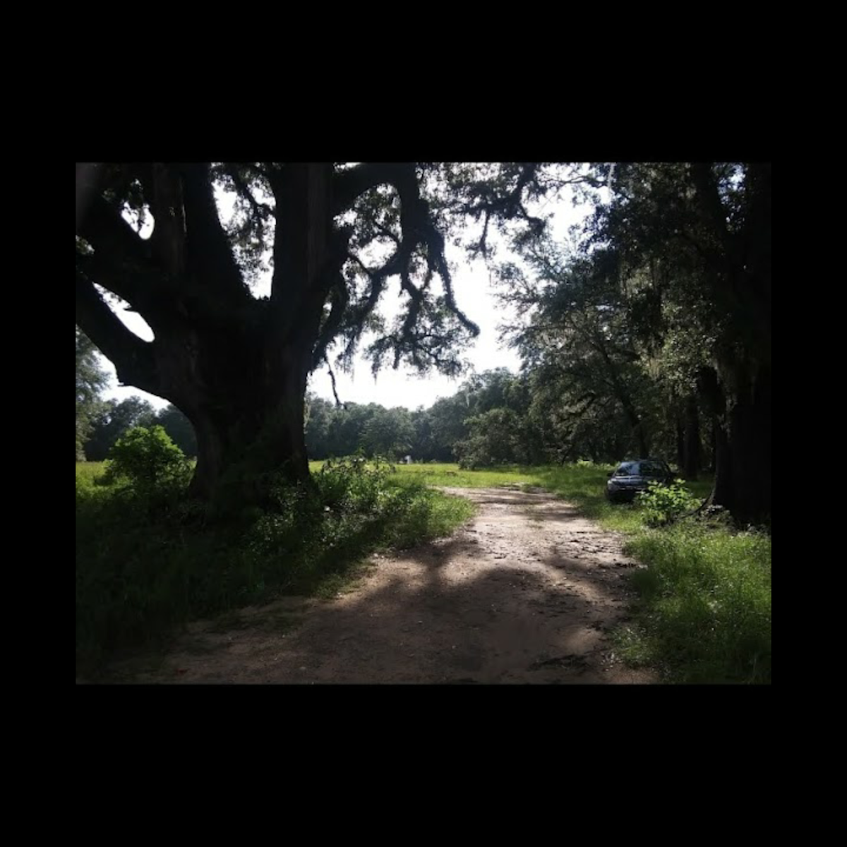 The Hammock compound Hipcamp in Bonifay, Florida