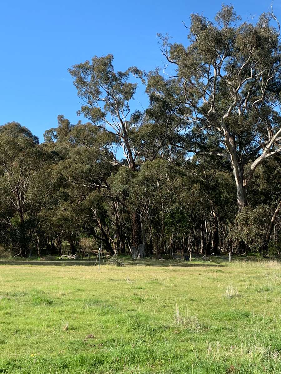 Regeneration Station Hipcamp in Landsborough, Victoria