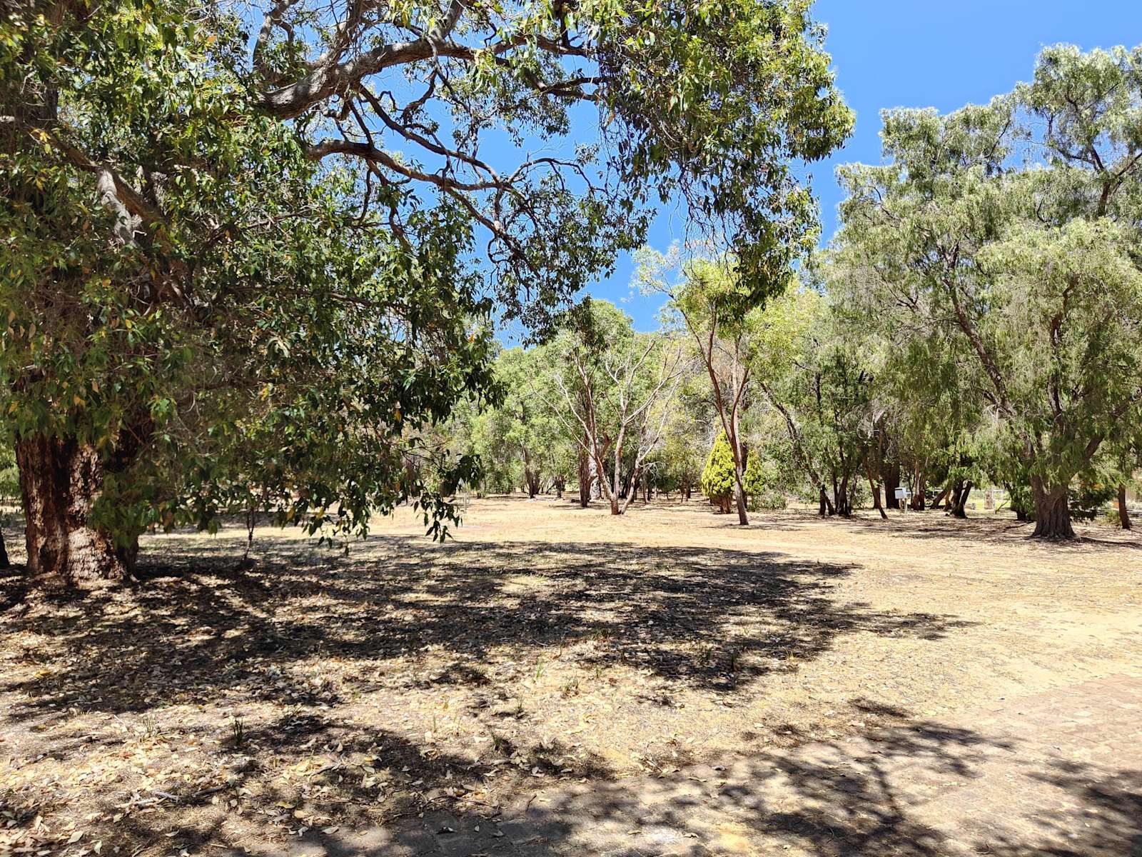 White Hill Rest Hipcamp in Bouvard, Western Australia
