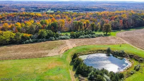 Pyour Pastures - Photo 2