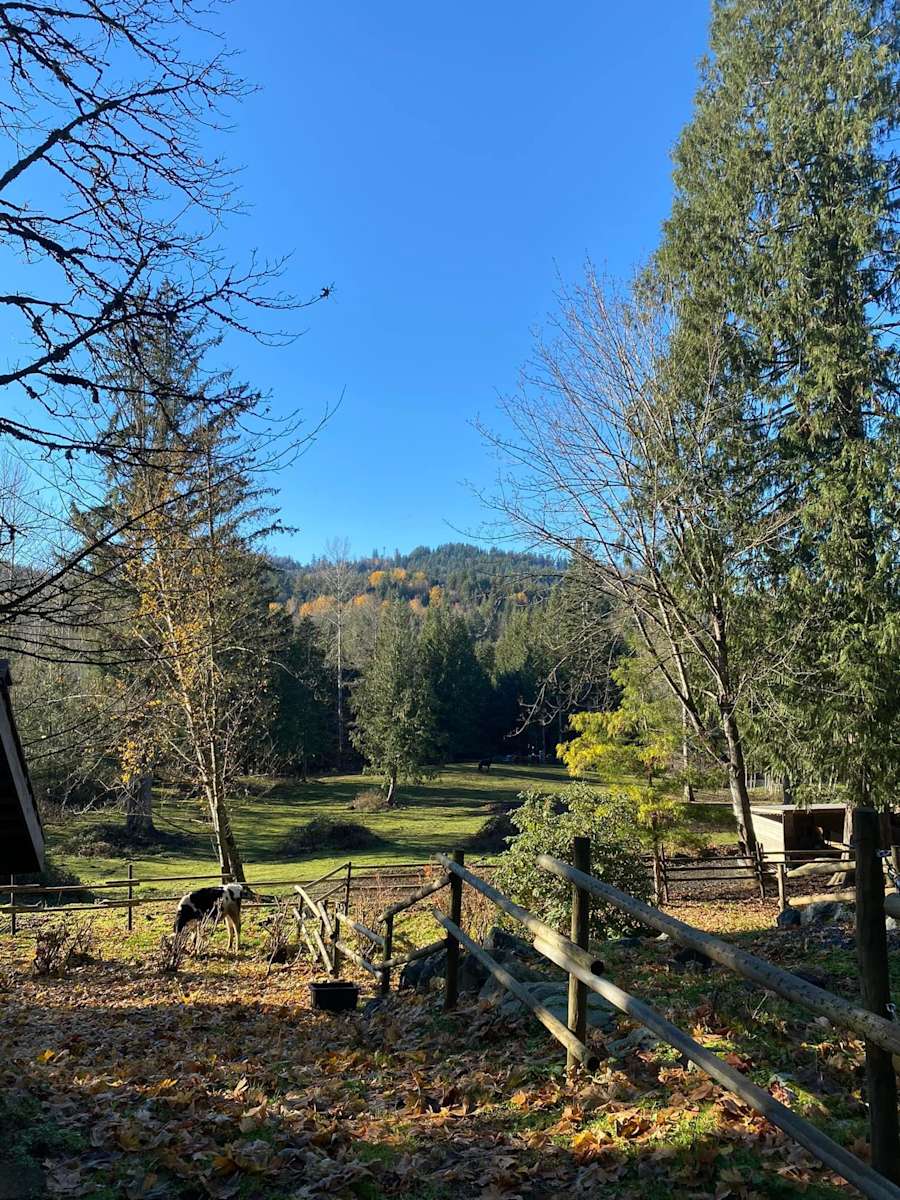 Bosley’s Wilderness Corral Hipcamp in Chilliwack, British Columbia