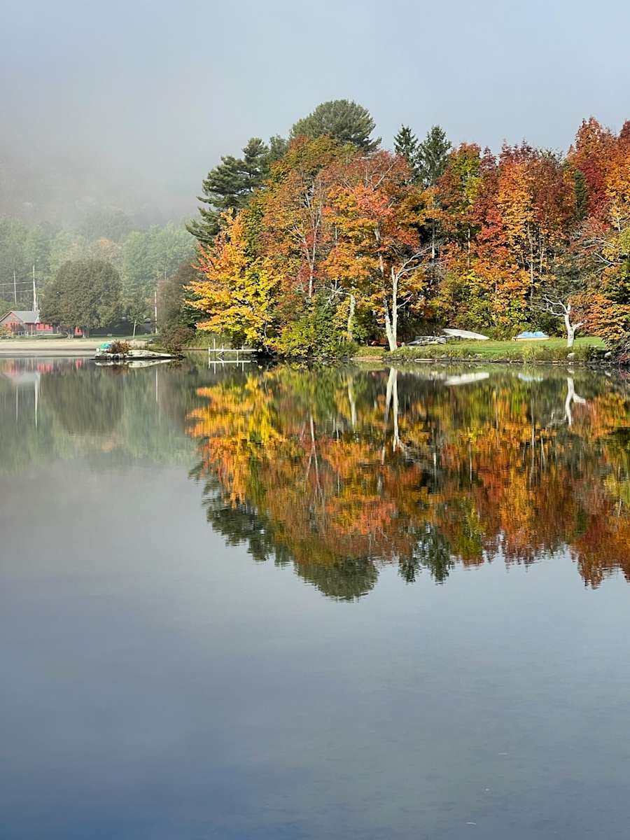 Sasquatch Acres Hipcamp in Hardwick, Vermont